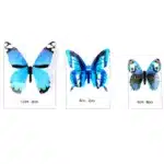 Papillon fluorescent 6