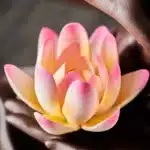 Bruleur d'encens fleur de lotus 6