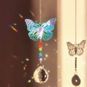 Papillon attrape soleil