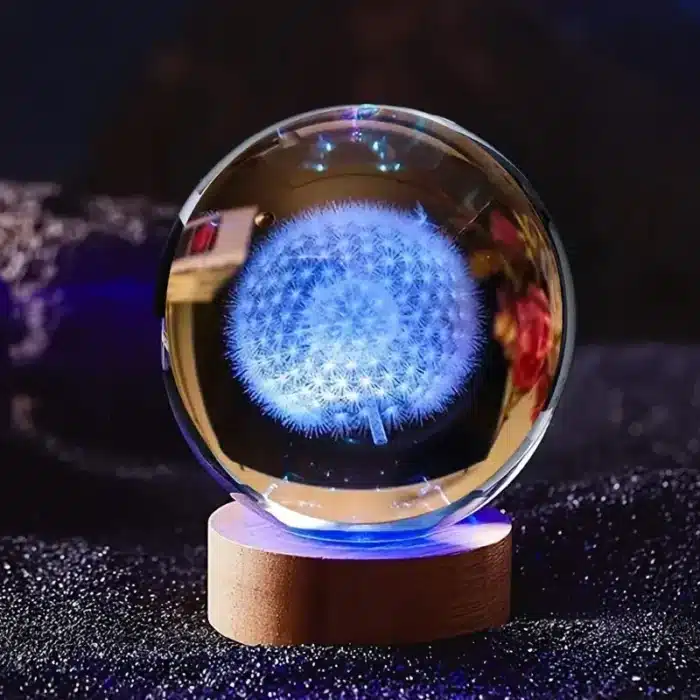 Veilleuse boule cristal pissenlit 3D 1