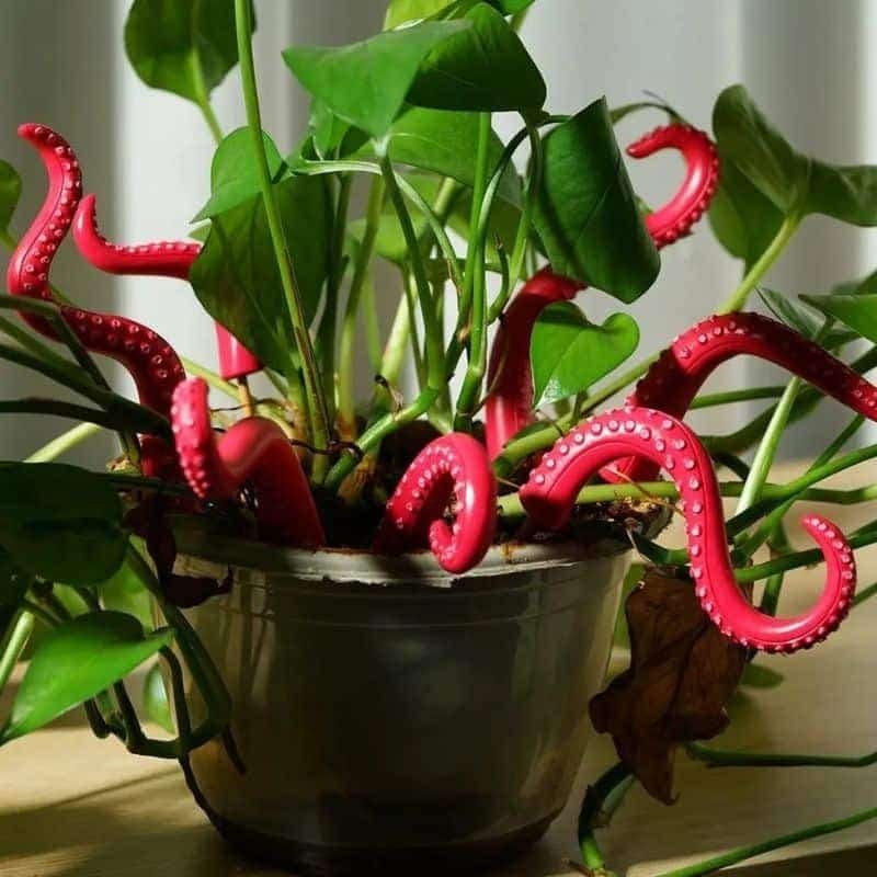 Trompe l'oeil : 3 produits pour sublimer votre intérieur et créer l'illusion parfaite !