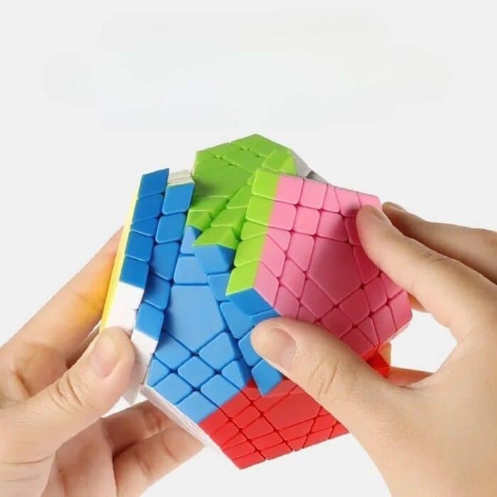 24 (2)