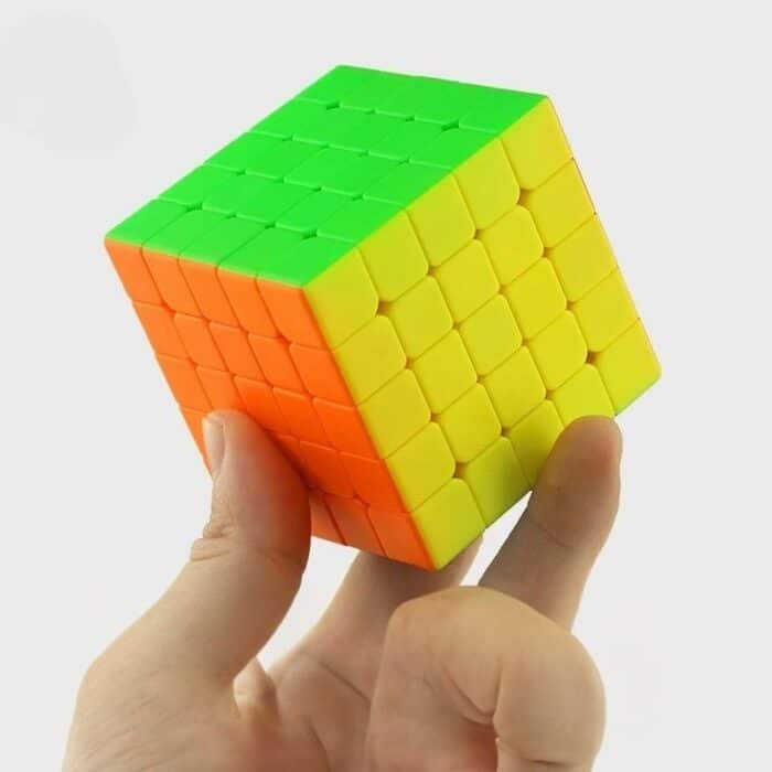 24 (5)