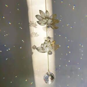 Attrape soleil lotus