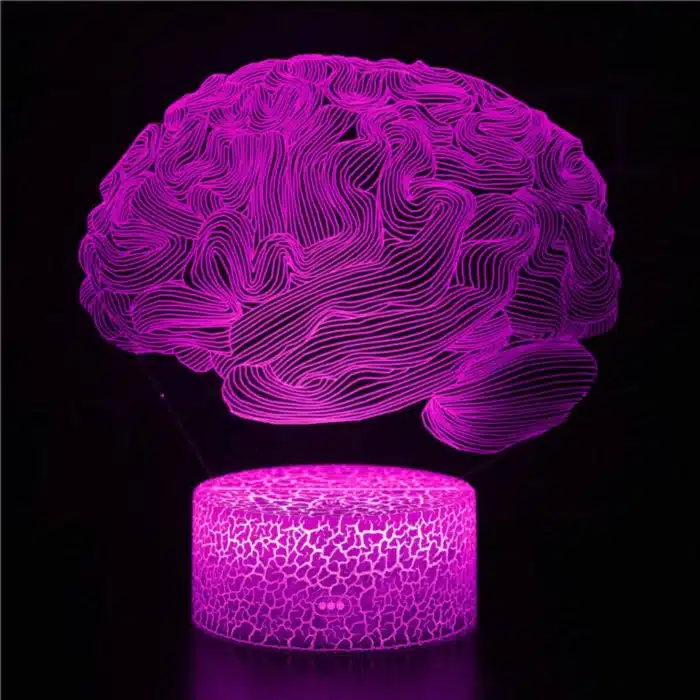 Nighdn-Veilleuse Cerveau 3D pour Enfants, Lampe de Décoration Tactile USB Proxy, Lampe Icide Optique, Cadeaux de Noël et d'Anniversaire, 7 Couleurs 3