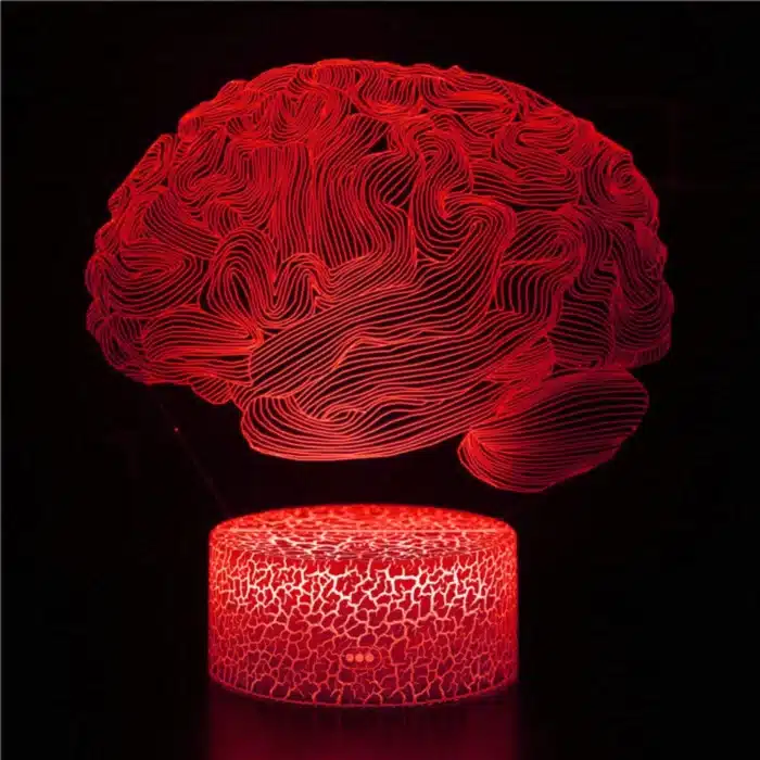 Nighdn-Veilleuse Cerveau 3D pour Enfants, Lampe de Décoration Tactile USB Proxy, Lampe Icide Optique, Cadeaux de Noël et d'Anniversaire, 7 Couleurs 4