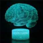 Nighdn-Veilleuse Cerveau 3D pour Enfants, Lampe de Décoration Tactile USB Proxy, Lampe Icide Optique, Cadeaux de Noël et d'Anniversaire, 7 Couleurs 1