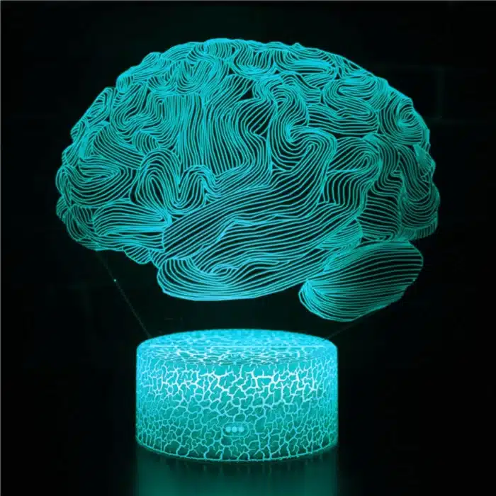 Nighdn-Veilleuse Cerveau 3D pour Enfants, Lampe de Décoration Tactile USB Proxy, Lampe Icide Optique, Cadeaux de Noël et d'Anniversaire, 7 Couleurs 1
