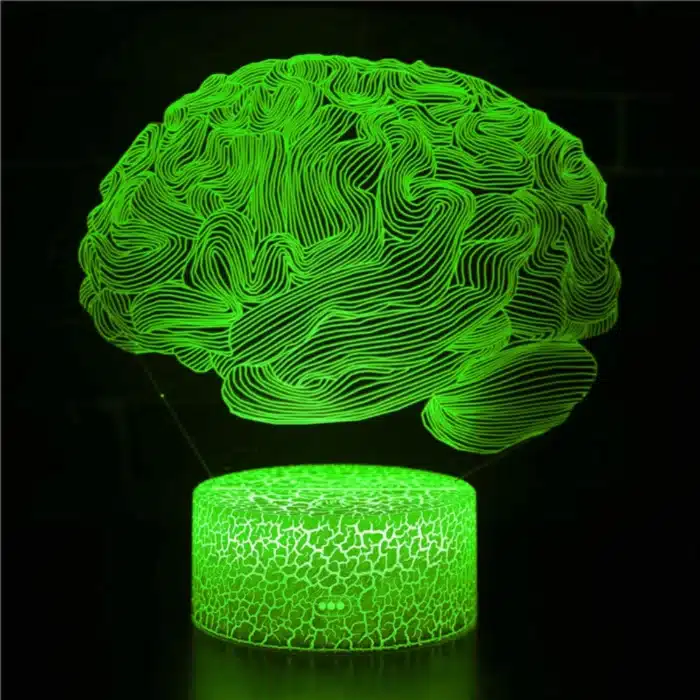 Nighdn-Veilleuse Cerveau 3D pour Enfants, Lampe de Décoration Tactile USB Proxy, Lampe Icide Optique, Cadeaux de Noël et d'Anniversaire, 7 Couleurs 2